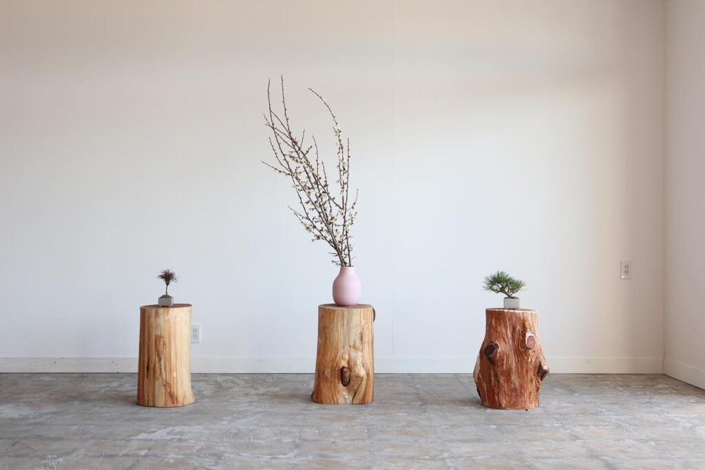 FUSE Solo exhibition